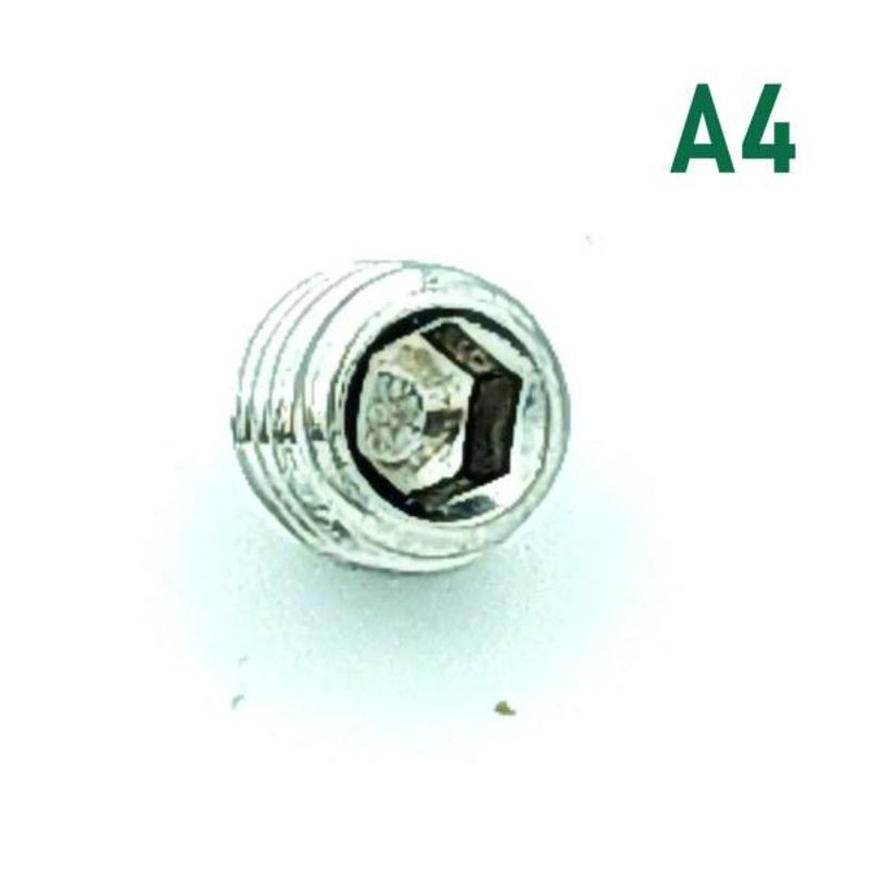 M6x16 Settskrue 2 stk Syrefast A4